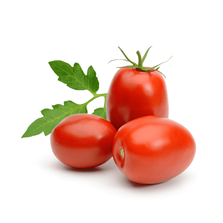 Tomato for Processing