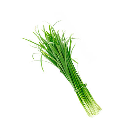 Chives