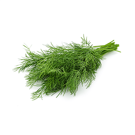 Dill