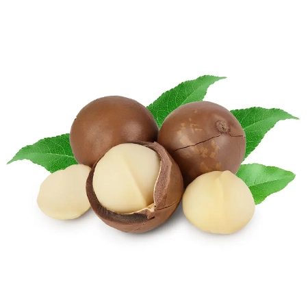 Macadamia
