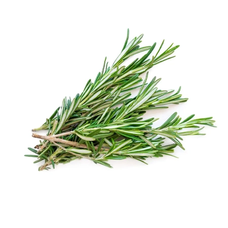 Rosemary