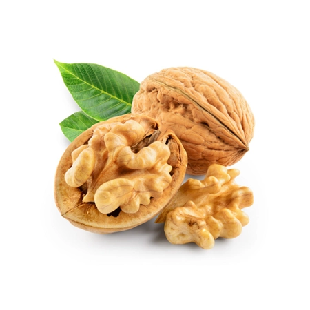Walnut