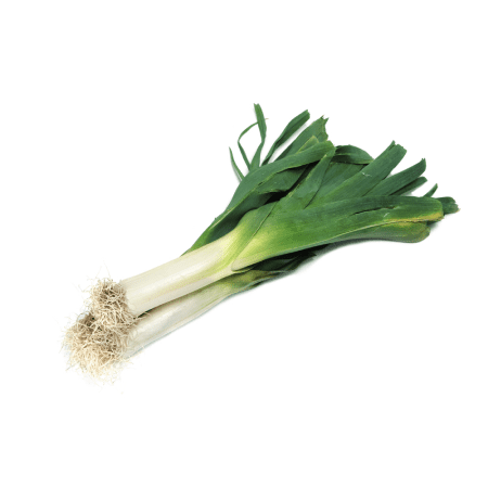 Leek
