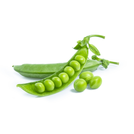 Pea