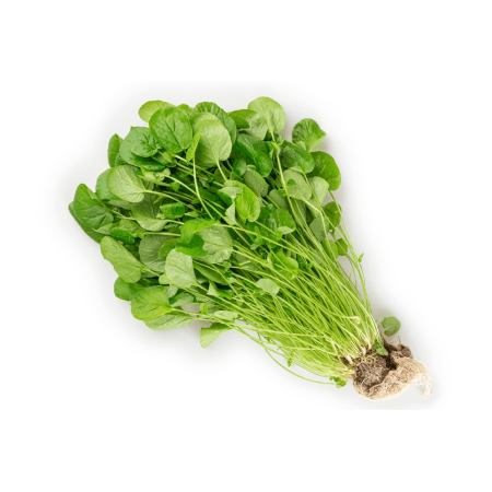 Watercress