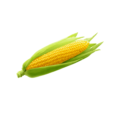 Corn
